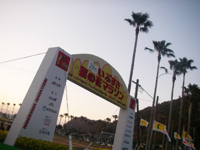 nanohana20102