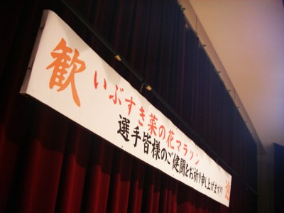 nanohana20104