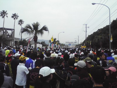 nanohana20107