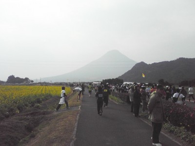 nanohana20108