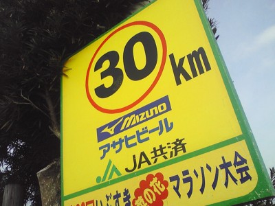 nanohana20109